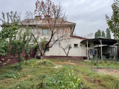 Photos