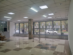 Photos