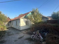 Photos