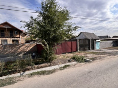 Photos