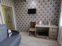 Photos