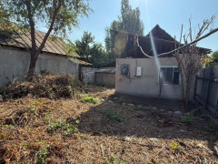 Photos