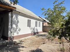Photos