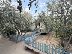 Photos