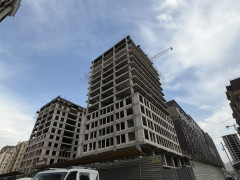 Photos