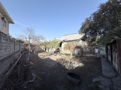 Photos