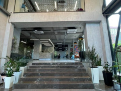 Photos
