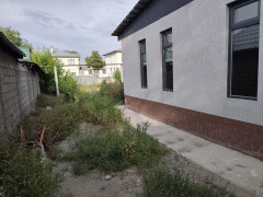 Photos