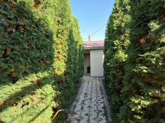 Photos