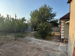 Photos