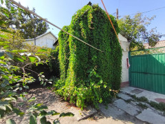 Photos