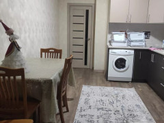 Photos