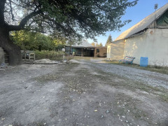 Photos