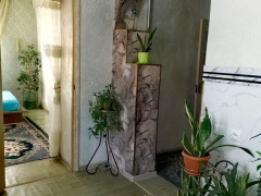 Photos