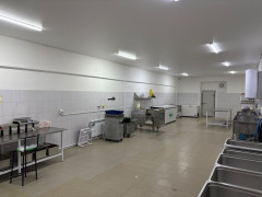 Photos