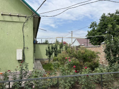 Photos