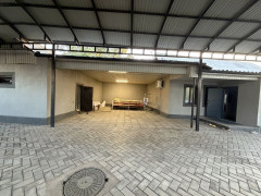 Photos