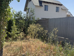 Photos