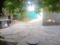Photos