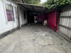 Photos