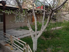 Photos