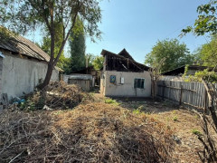 Photos
