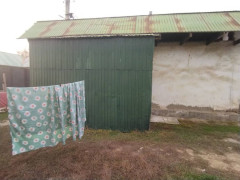 Photos