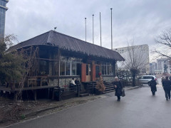 Photos