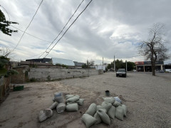 Photos