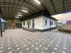 Photos