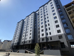 Photos