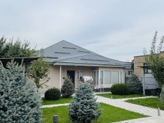 Photos