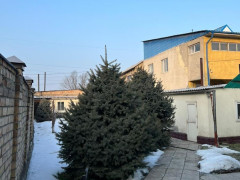Photos