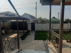 Photos