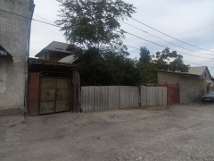 Photos