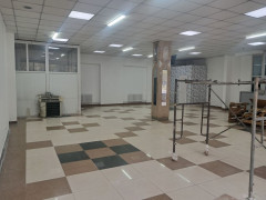 Photos