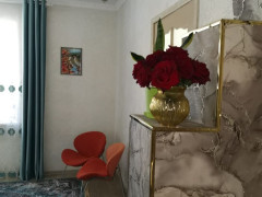 Photos