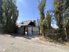 Photos