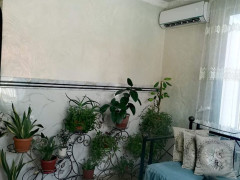 Photos