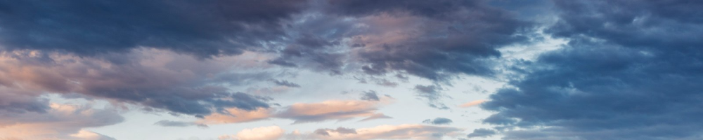 Business Banner