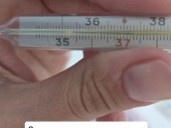 Photo of the vehicle ВАЗ (Lada) 2121 (4x4)